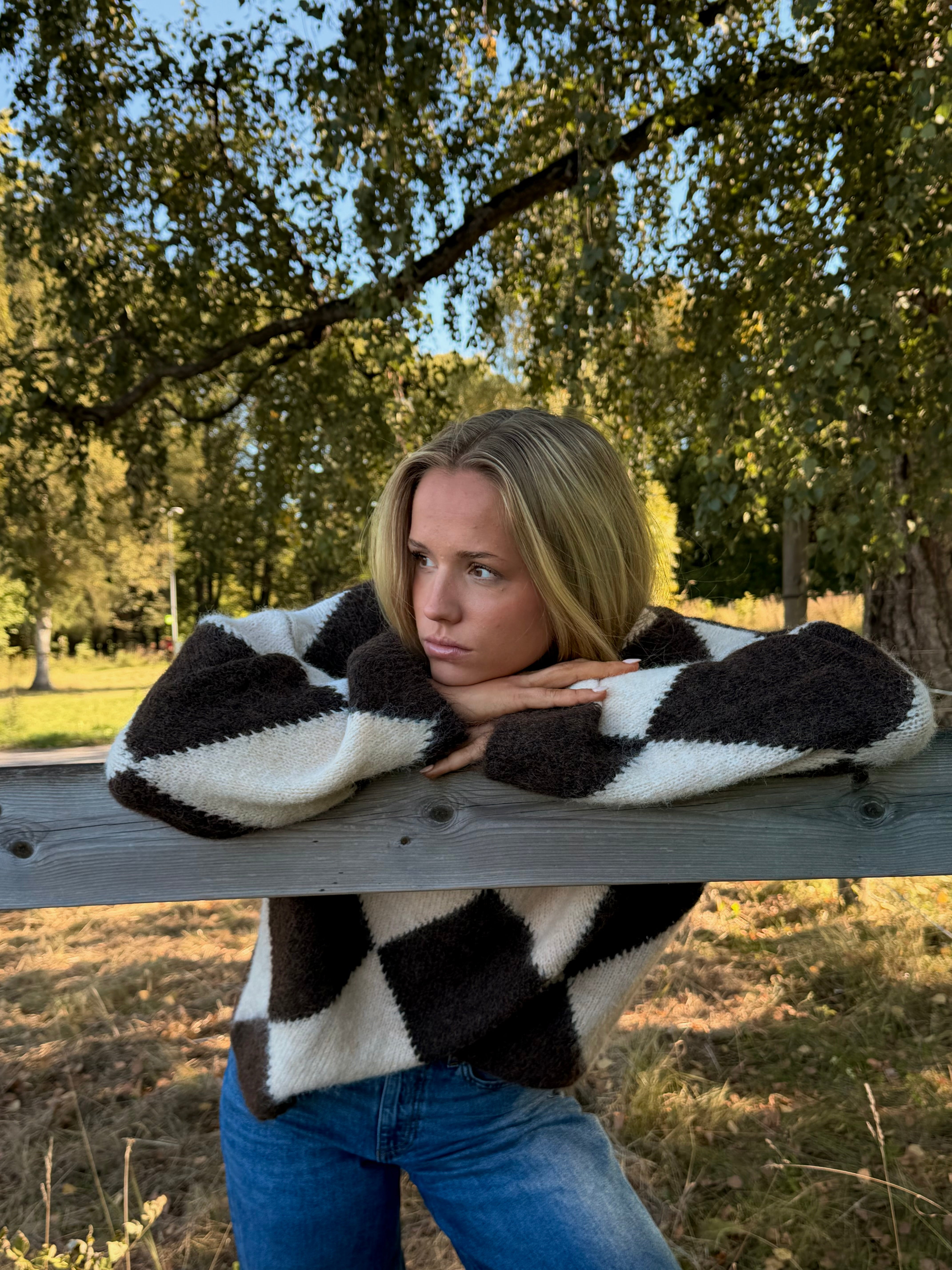 NMSUTTON KNIT - Chocolate Torte